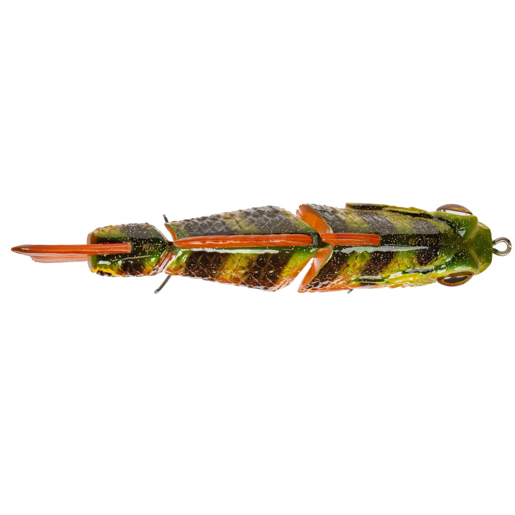 Top-down view of the Synch Fishing Artisan Gill in Mayan showing the green and black barred back