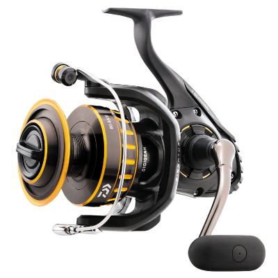 Daiwa BG spinning reel