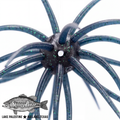 Skinny Bear Shake'Em Up 19mm in June Bug
