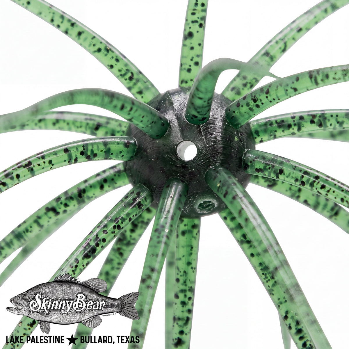 Skinny Bear Shake'Em Up 19mm in WatermelonZ