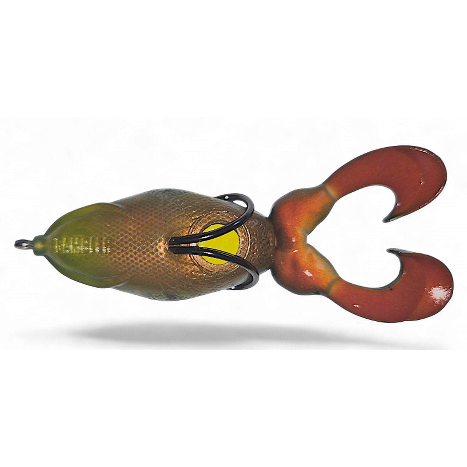 Gambler The Swimming Frog hollow body frog in Sunfish