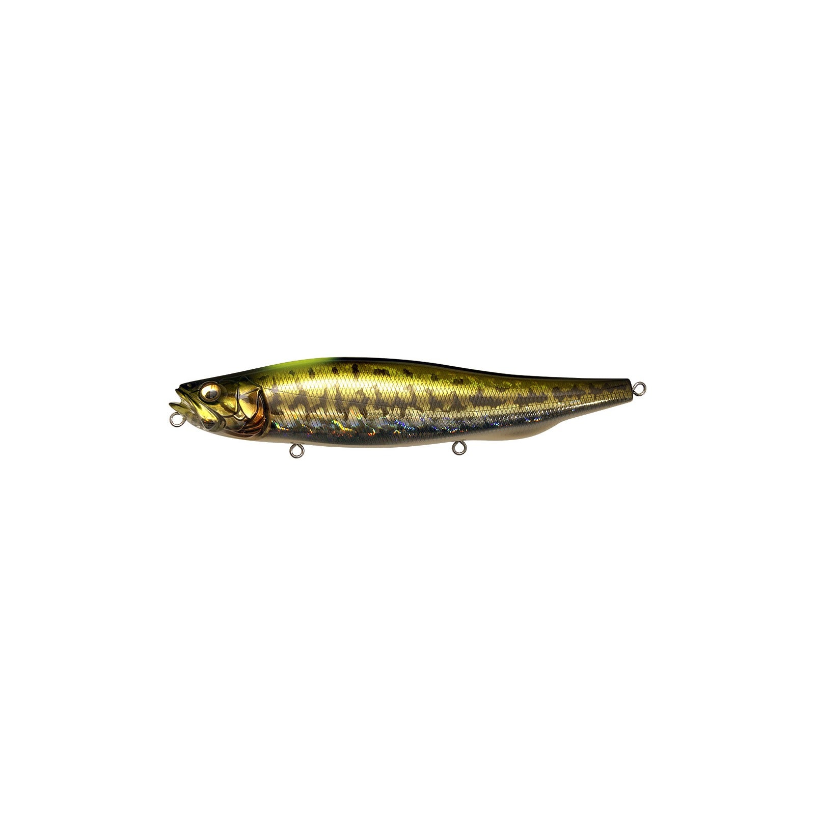 Megabass MEGADOG-X 7 inch walking bait in GG Indicator Bass