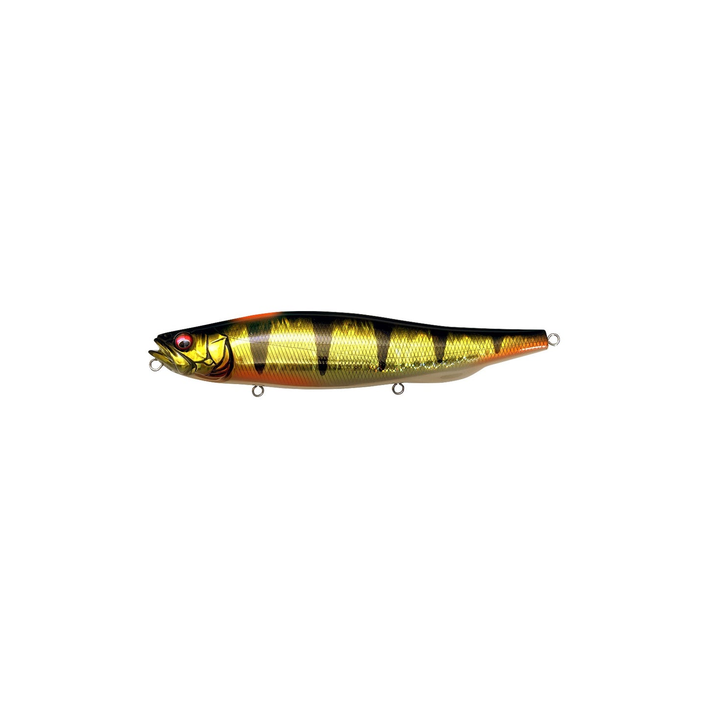 Megabass MEGADOG-X 7 inch walking bait in GG Indicator Perch