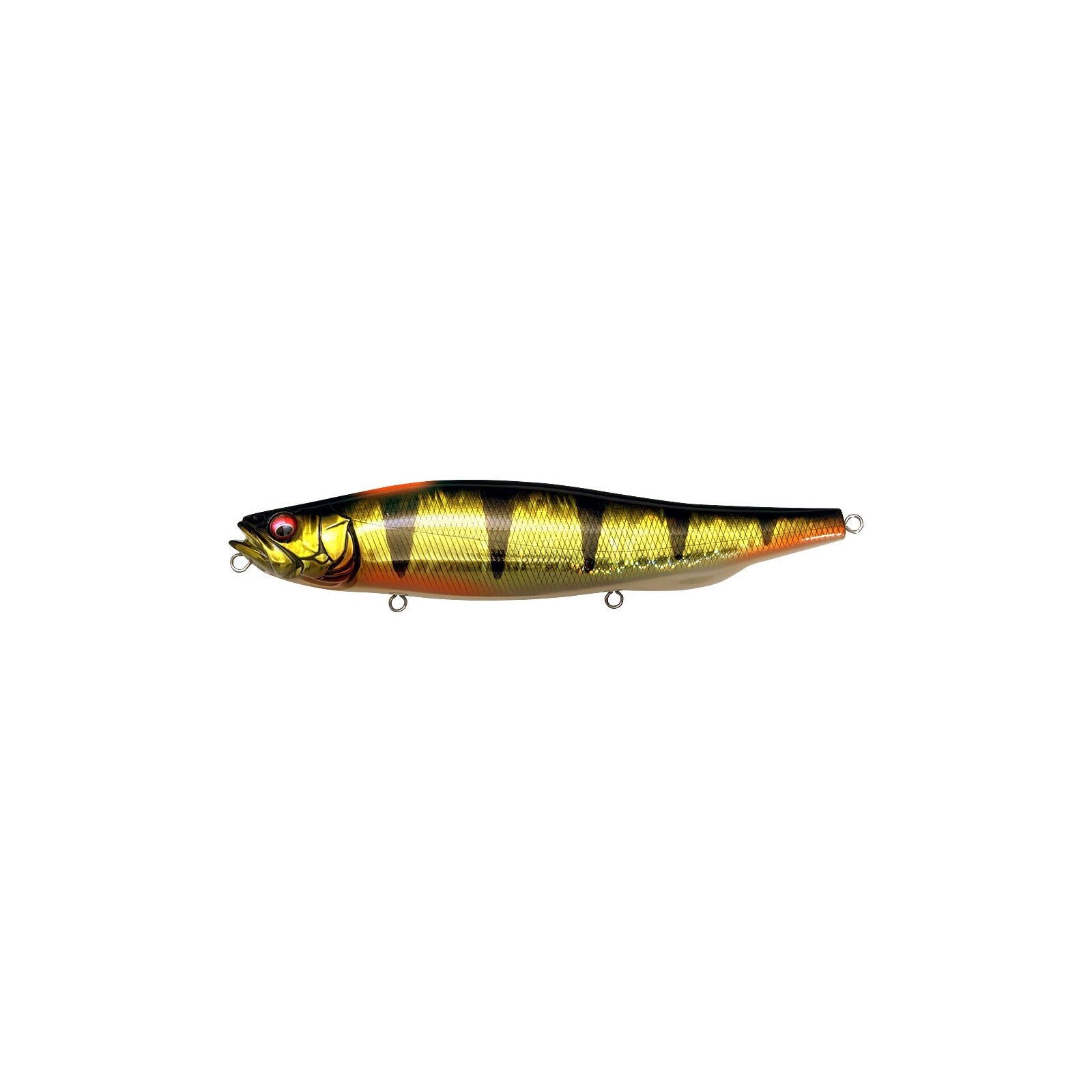 Megabass MEGADOG-X 7 inch walking bait in GG Indicator Perch