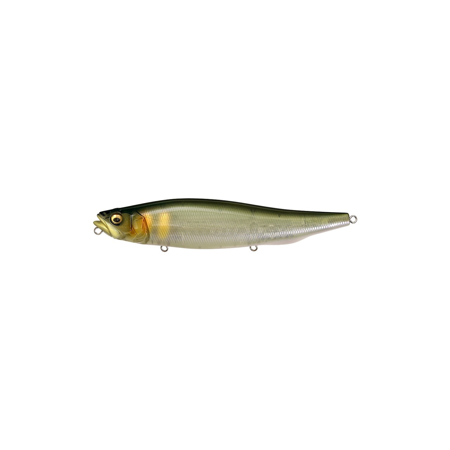 Megabass MEGADOG-X 7 inch walking bait in PM Ayu