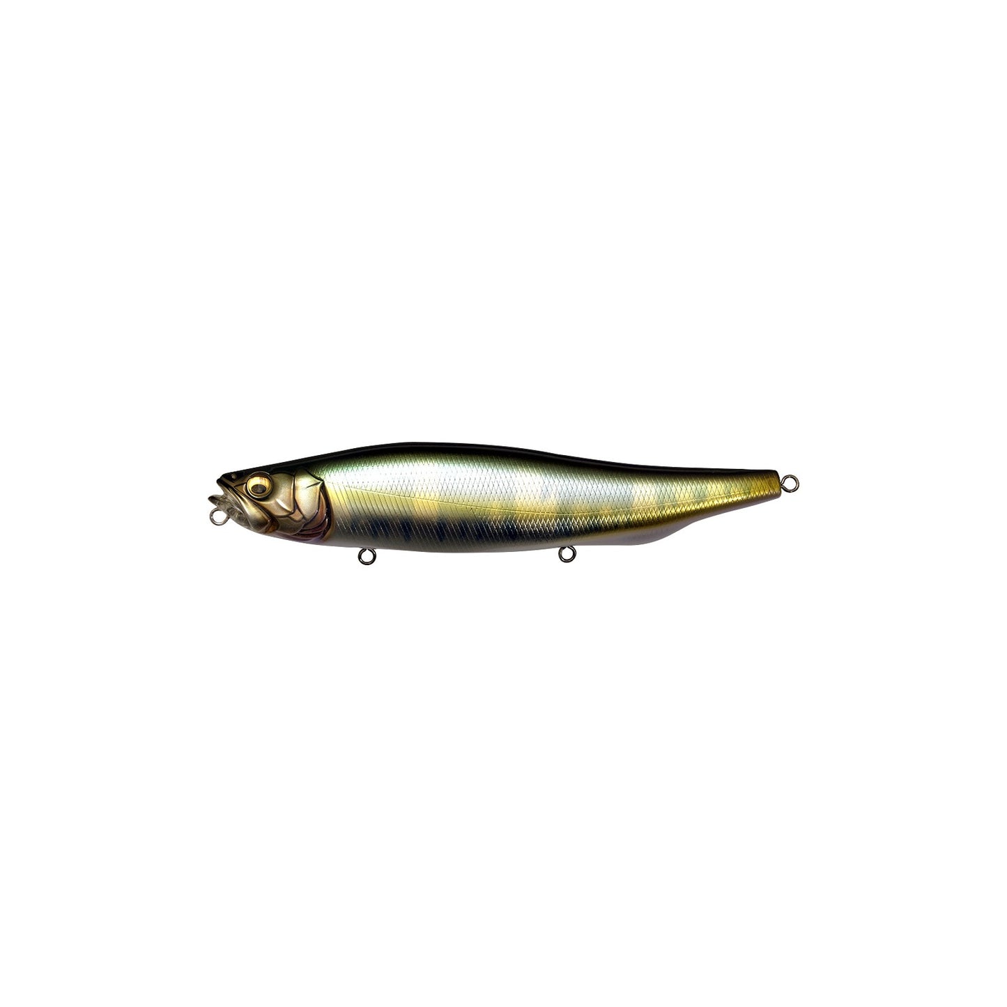 Megabass MEGADOG-X 7 inch walking bait in Wagin Hasu