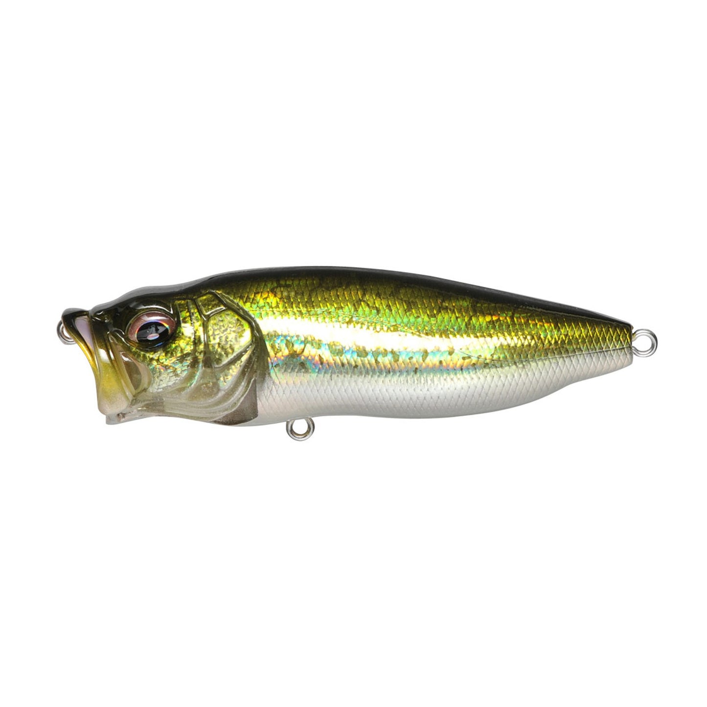 Megabass POPMAX topwater popper in GG Bass colorway