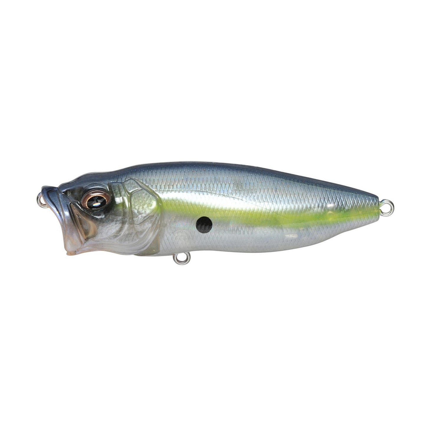 Megabass POPMAX topwater popper in GP Sexy Shad colorway