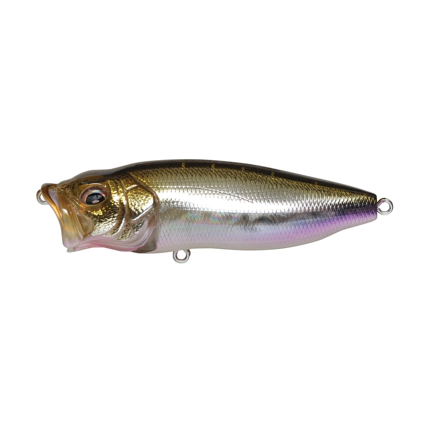 Megabass POPMAX topwater popper in HT Ito Wakasagi colorway