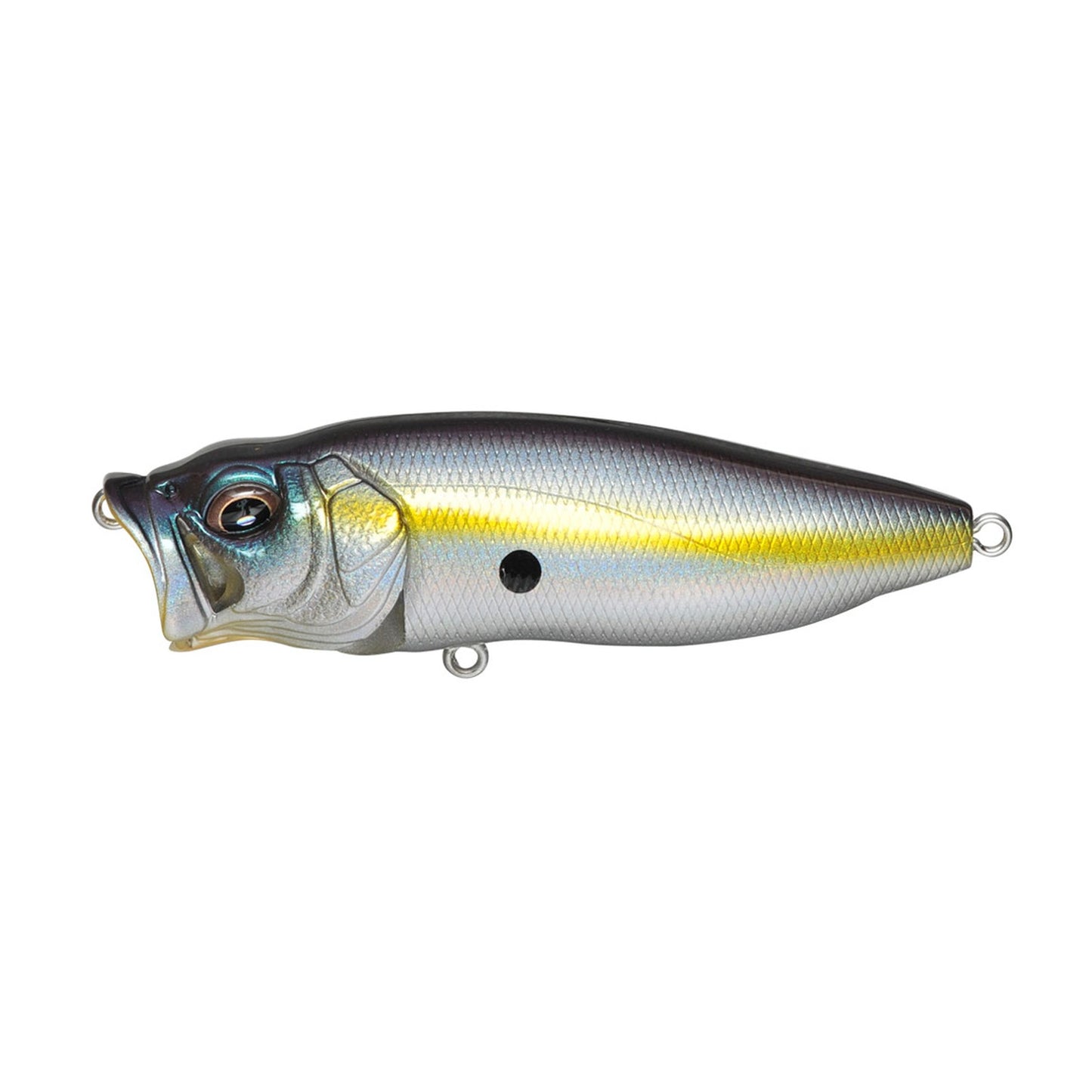 Megabass POPMAX topwater popper in Megabass Sexy Shad colorway