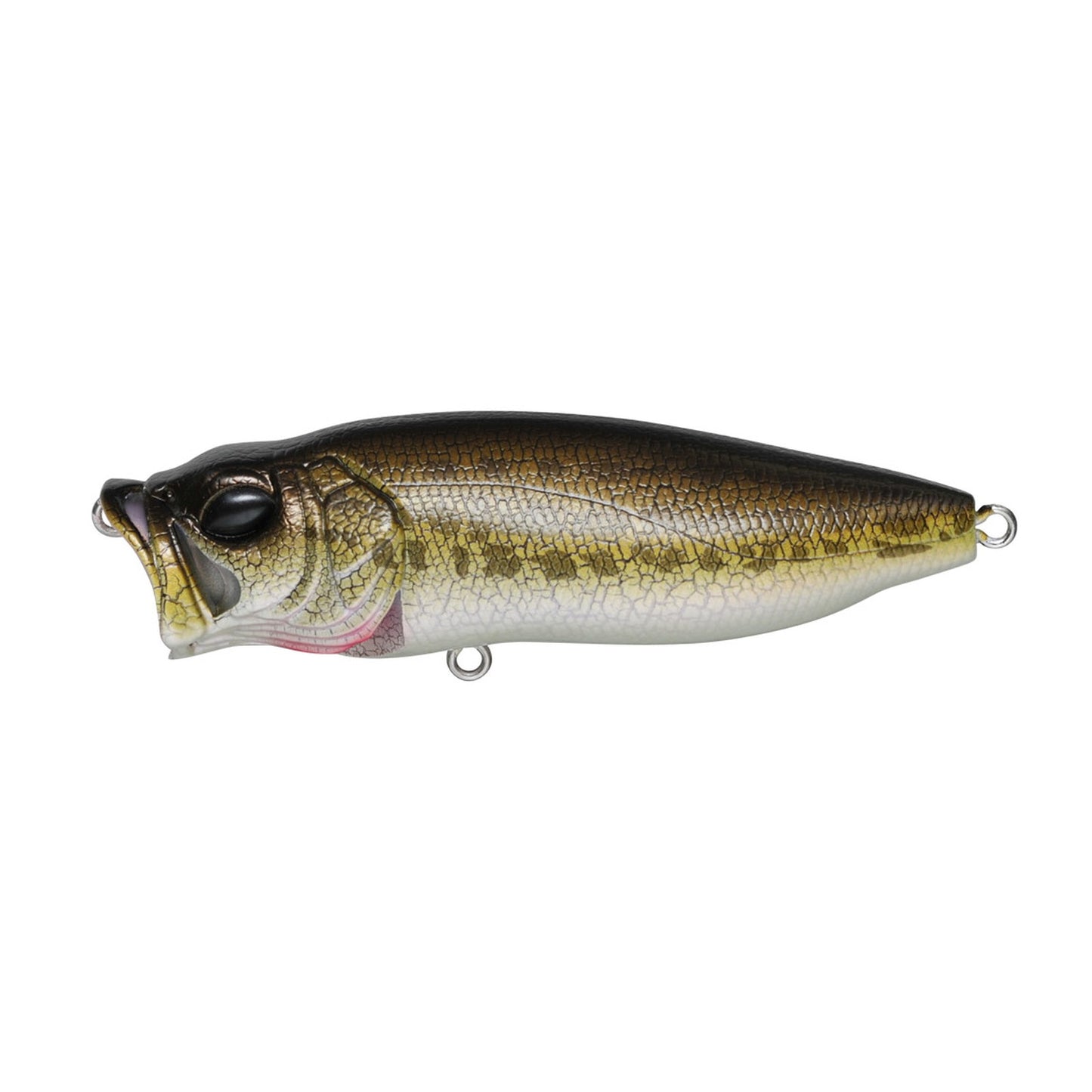 Megabass POPMAX topwater popper in Pagani Raigyo colorway