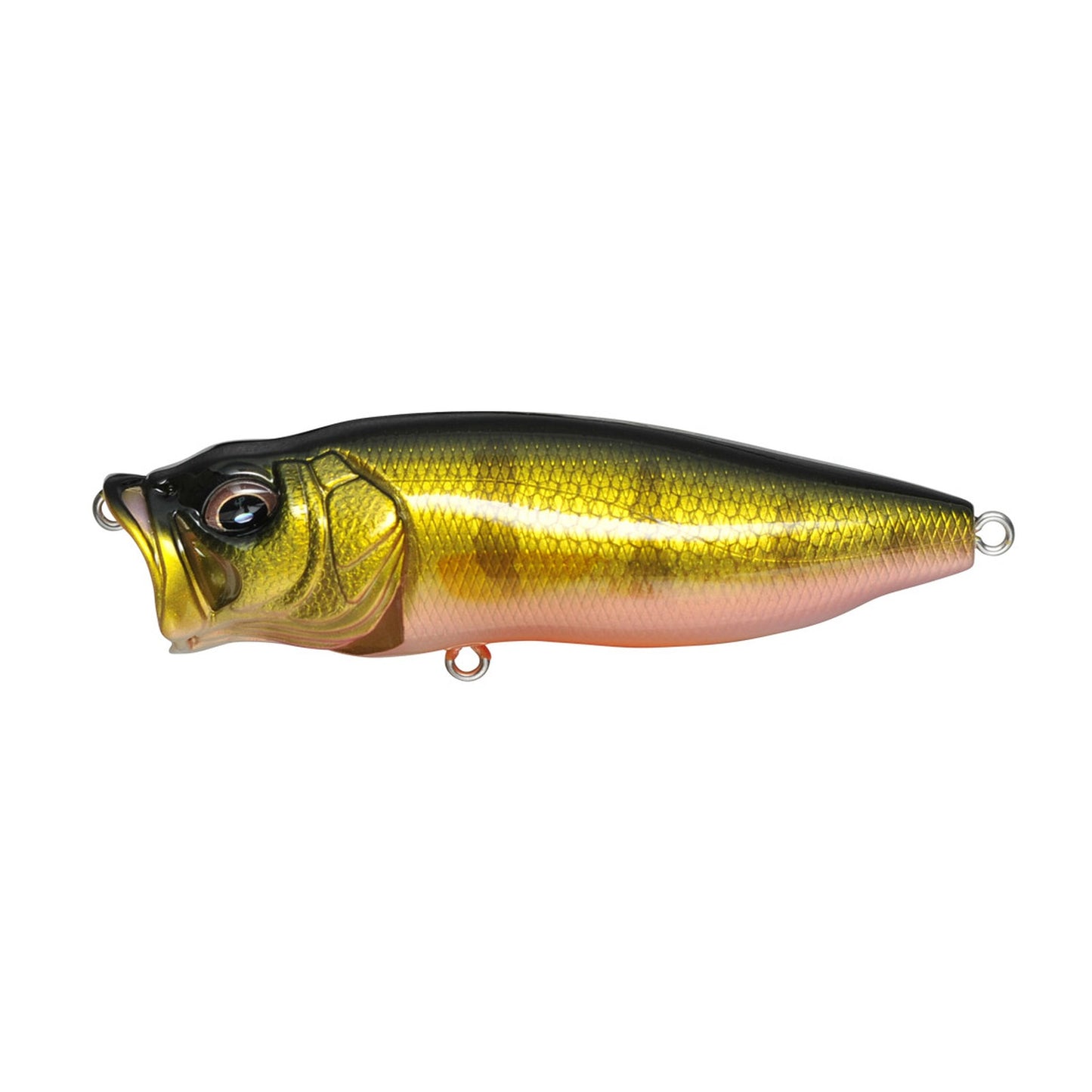 Megabass POPMAX topwater popper in Perch colorway
