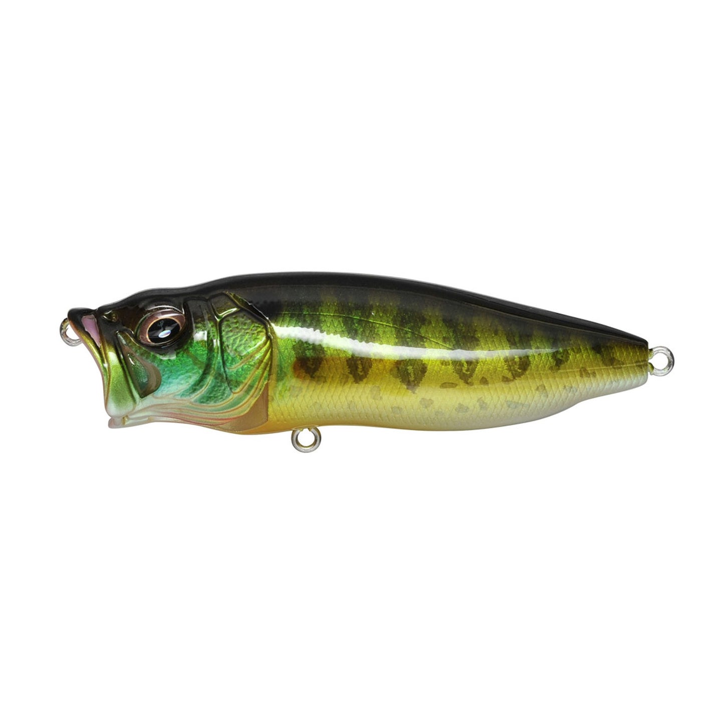 Megabass POPMAX topwater popper in Pumpkin Seed colorway