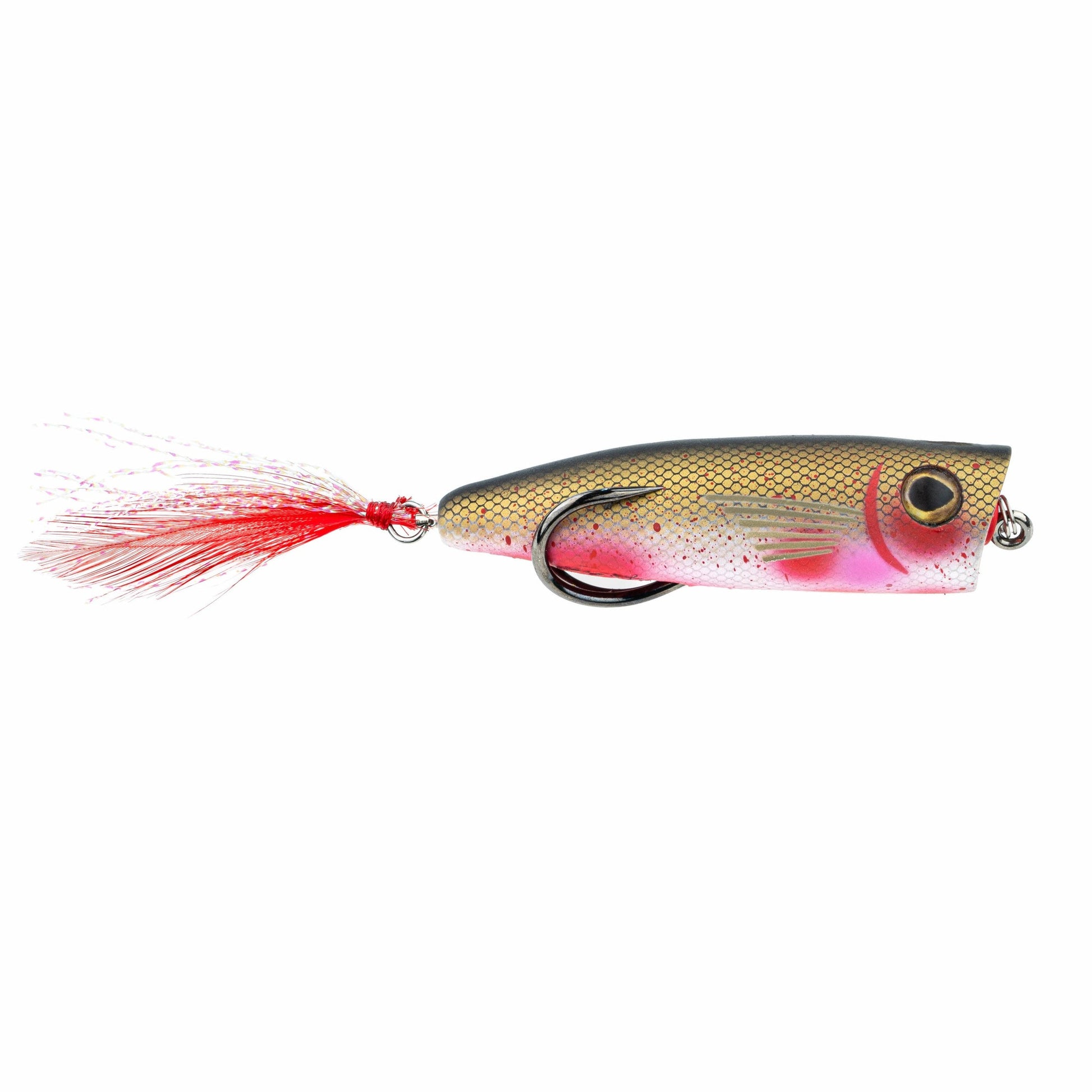 Snag Proof Zoo Pop hollow body popping frog in Bloody Shad