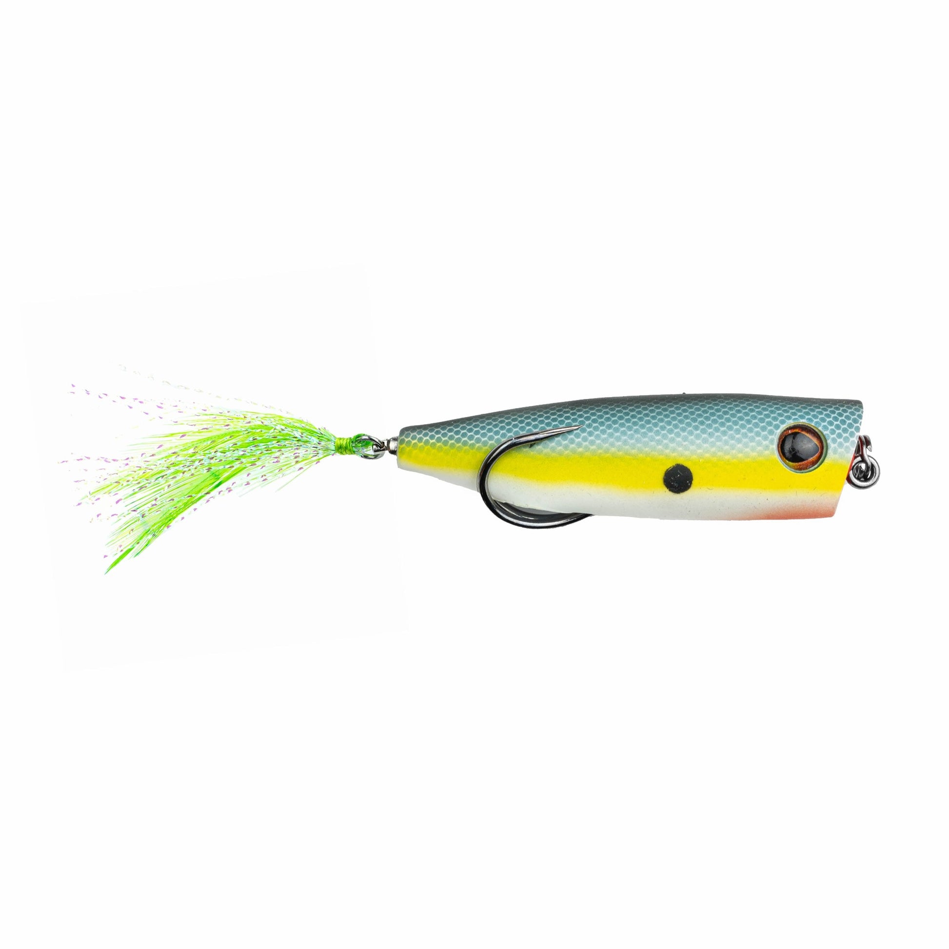 Snag Proof Zoo Pop hollow body popping frog in Sexy Shad