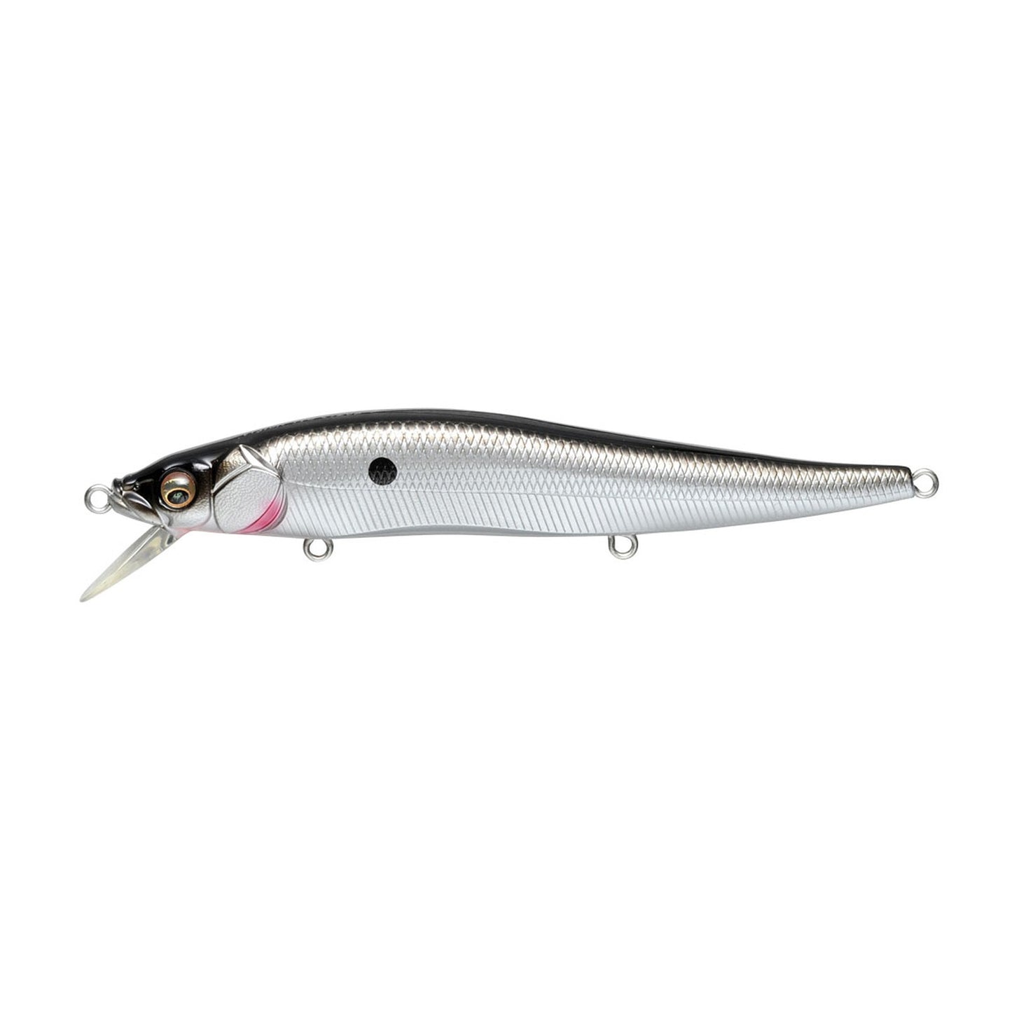 Megabass Vision ONETEN jerkbait in Ozark Shad colorway