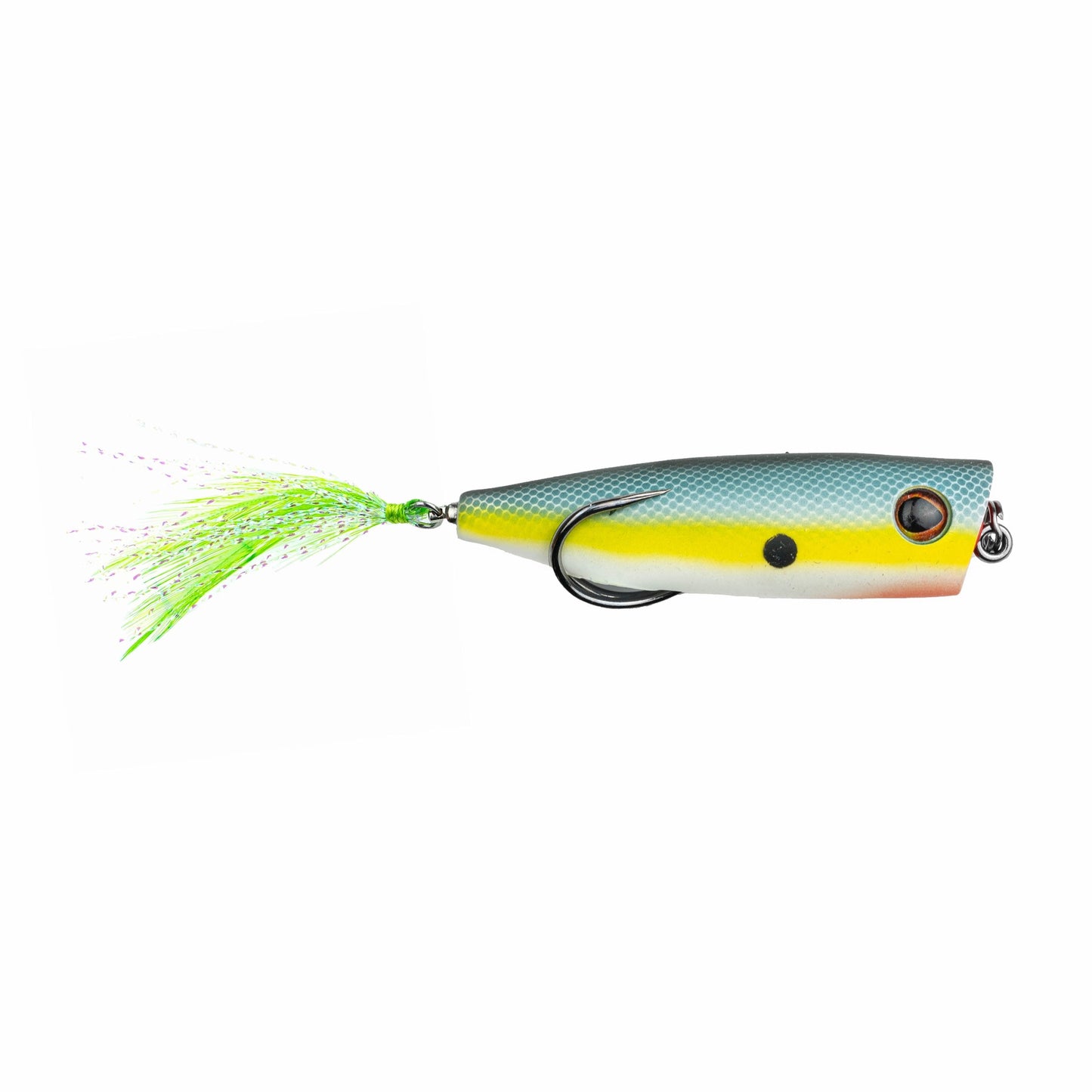 Snag Proof Zoo Pop XL popping frog in Sexy Shad