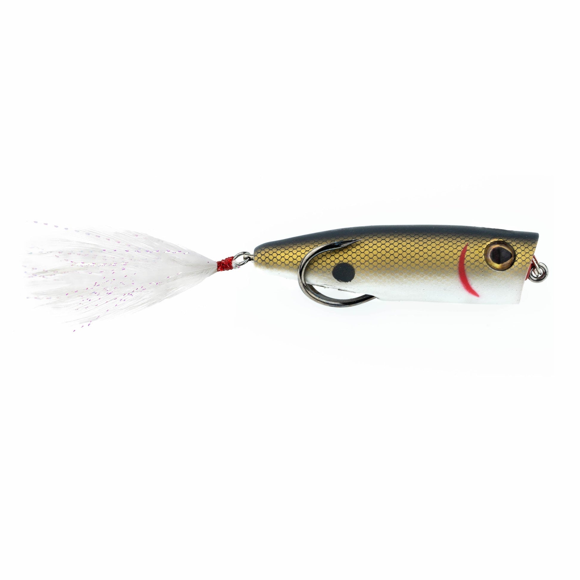 Snag Proof Zoo Pop XL popping frog in Tennessee Shad